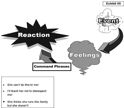 Anger Management Model Exihibit VII